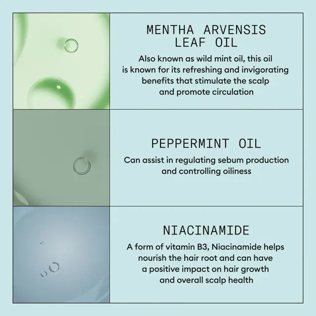 Scalp Recovery System Kit