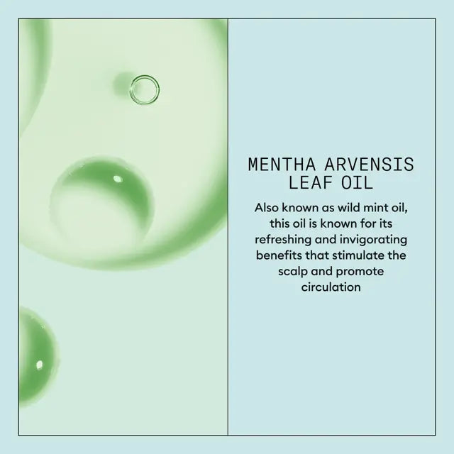 Scalp Recovery System Scalp Soothing Serum