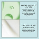 Scalp Recovery System Purifying Shampoo