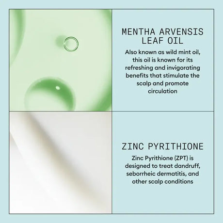 Scalp Recovery System Purifying Shampoo